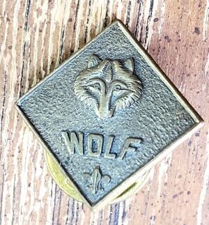 Vintage Cub/Boy Scouts of America BSA Brass Wolf Rank Pin/Badge + arrow patch